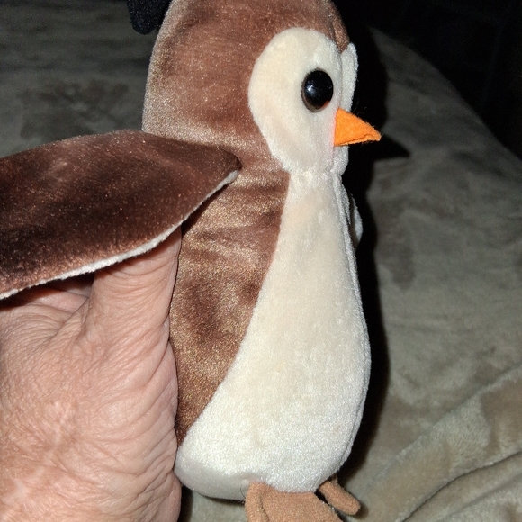 "Wise" TY Owl - Picture 14 of 15